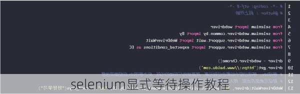 selenium显式等待操作教程