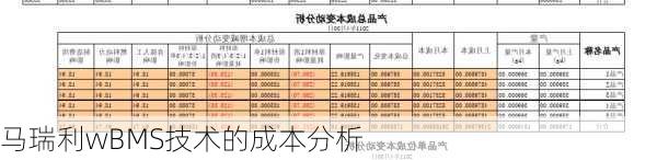 马瑞利wBMS技术的成本分析