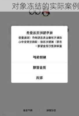 对象冻结的实际案例