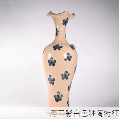 唐三彩白色釉陶特征