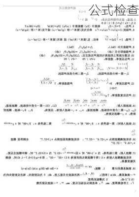 公式检查