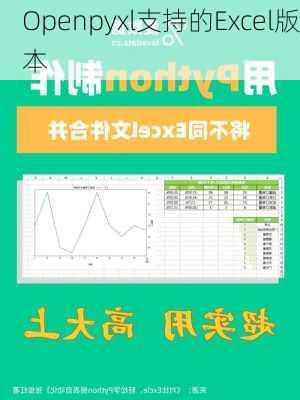 Openpyxl支持的Excel版本