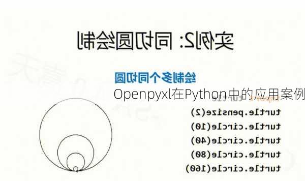 Openpyxl在Python中的应用案例