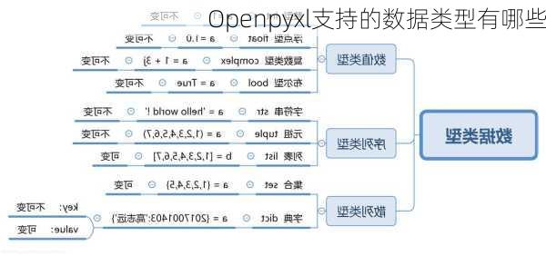 Openpyxl支持的数据类型有哪些