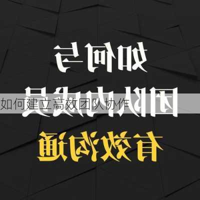 如何建立高效团队协作
