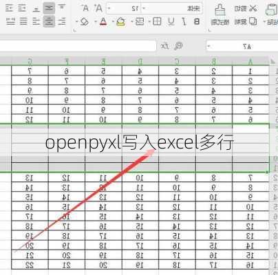 openpyxl写入excel多行