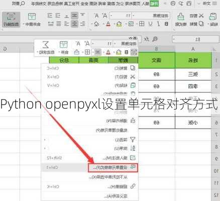Python openpyxl设置单元格对齐方式