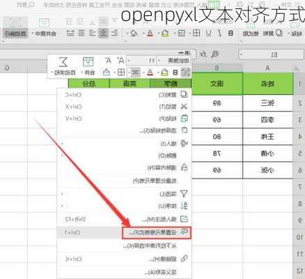 openpyxl文本对齐方式