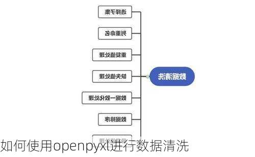 如何使用openpyxl进行数据清洗