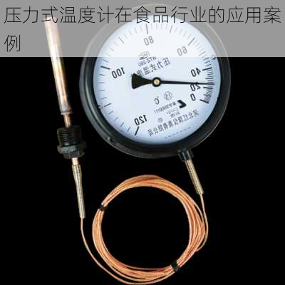 压力式温度计在食品行业的应用案例