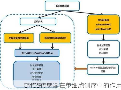 CMOS传感器在单细胞测序中的作用