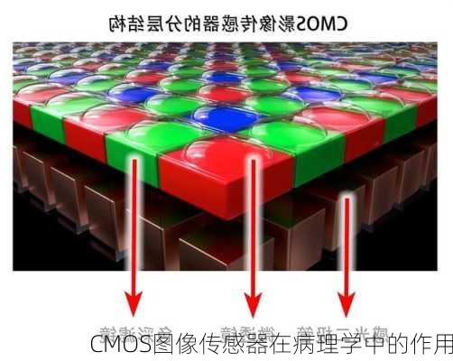 CMOS图像传感器在病理学中的作用