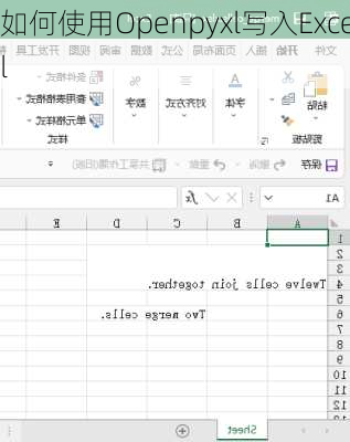 如何使用Openpyxl写入Excel