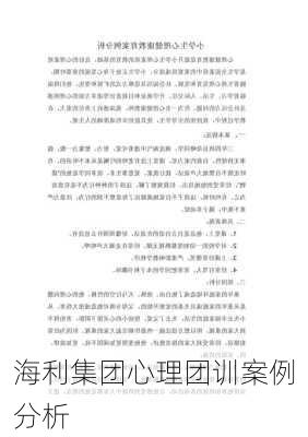 海利集团心理团训案例分析
