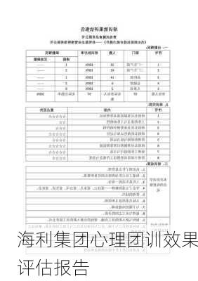 海利集团心理团训效果评估报告