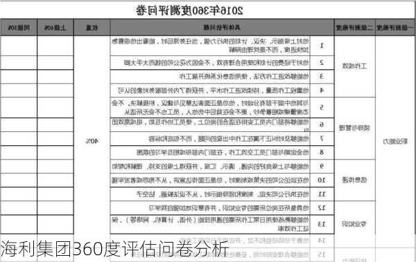 海利集团360度评估问卷分析