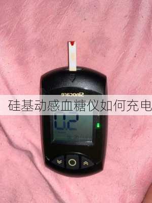 硅基动感血糖仪如何充电