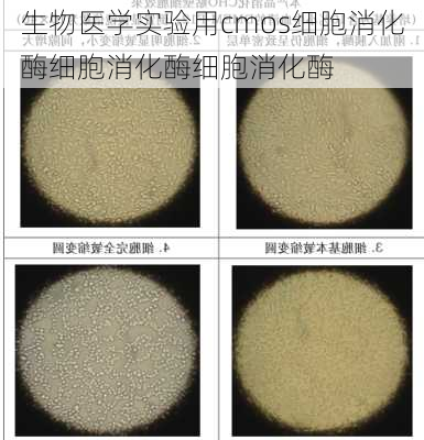 生物医学实验用cmos细胞消化酶细胞消化酶细胞消化酶