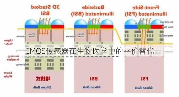 CMOS传感器在生物医学中的平价替代