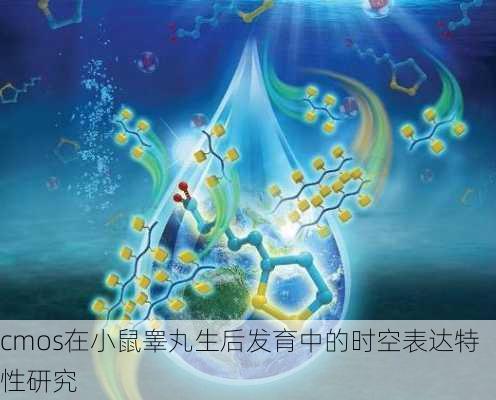 cmos在小鼠睾丸生后发育中的时空表达特性研究