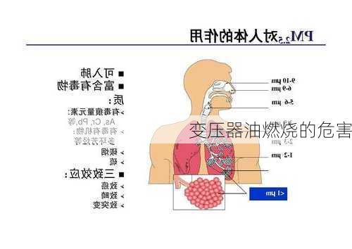 变压器油燃烧的危害