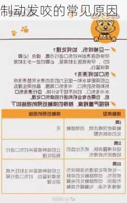 制动发咬的常见原因