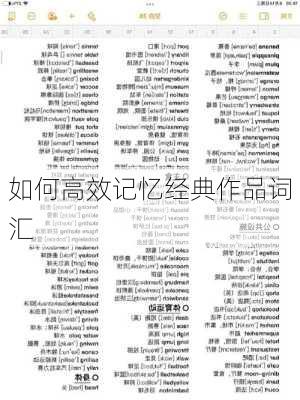 如何高效记忆经典作品词汇