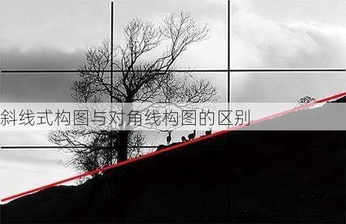 斜线式构图与对角线构图的区别