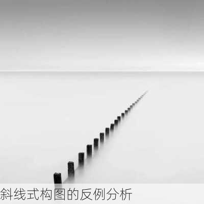 斜线式构图的反例分析
