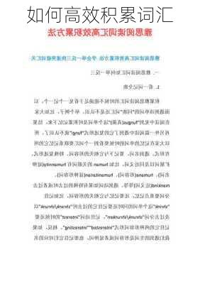 如何高效积累词汇