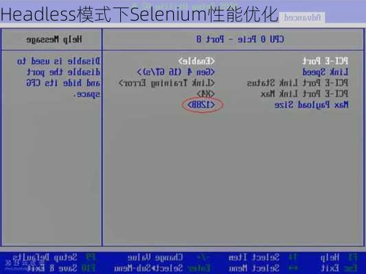 Headless模式下Selenium性能优化