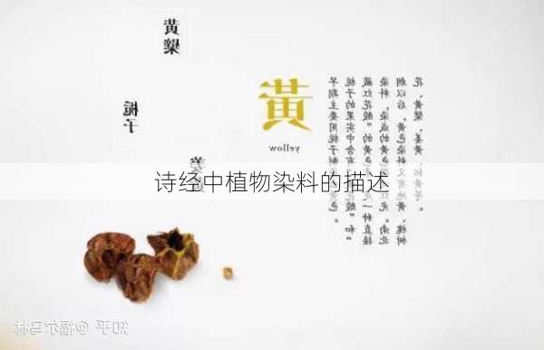诗经中植物染料的描述