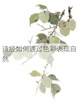 诗经如何通过色彩表现自然