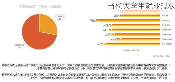 当代大学生就业现状