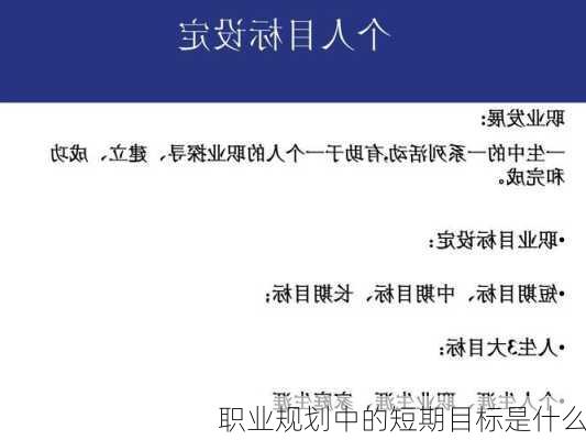职业规划中的短期目标是什么