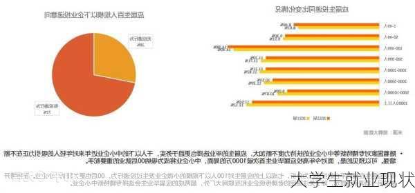 大学生就业现状
