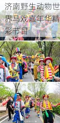 济南野生动物世界马戏嘉年华精彩节目