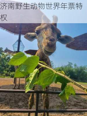 济南野生动物世界年票特权