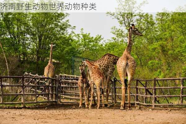 济南野生动物世界动物种类