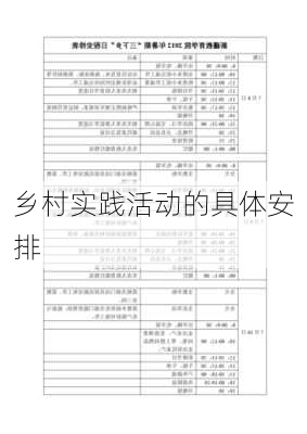 乡村实践活动的具体安排