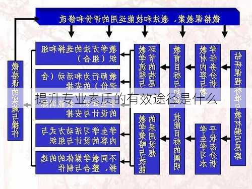 提升专业素质的有效途径是什么