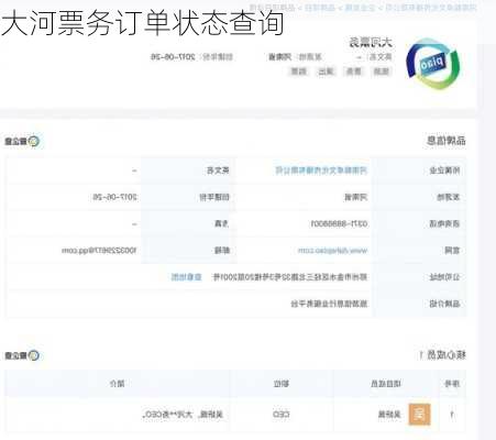 大河票务订单状态查询