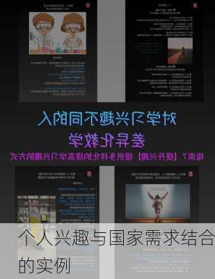 个人兴趣与国家需求结合的实例
