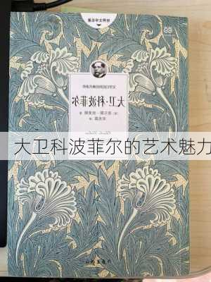 大卫科波菲尔的艺术魅力