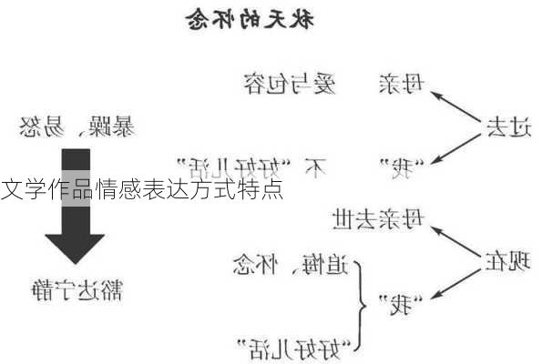 文学作品情感表达方式特点