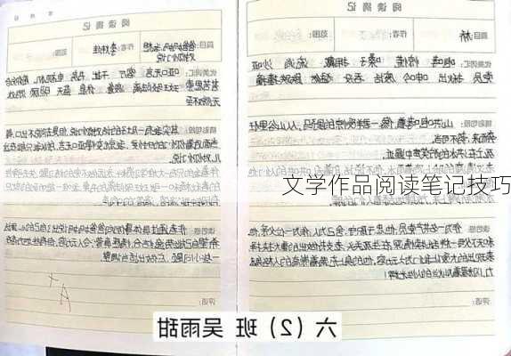 文学作品阅读笔记技巧