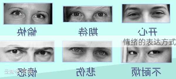 情绪的表达方式