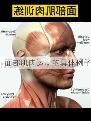 面部肌肉运动的具体例子