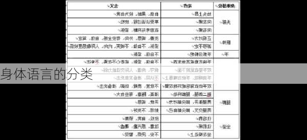身体语言的分类