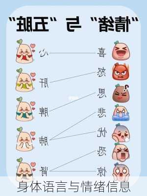 身体语言与情绪信息